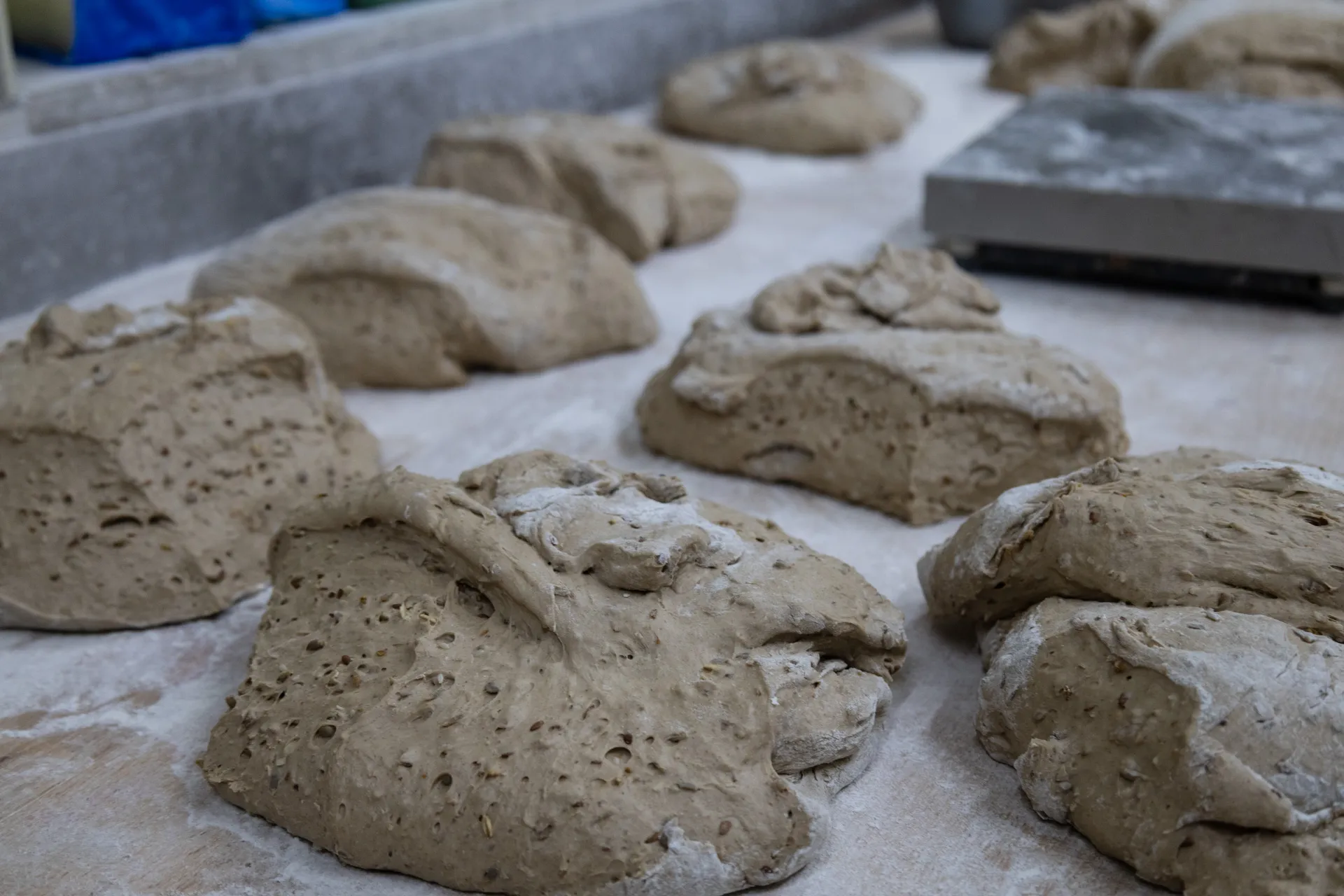 Bäckerei und Konditorei Das Schokoladenmädchen Soltau